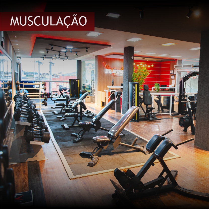 MUSCULACAO